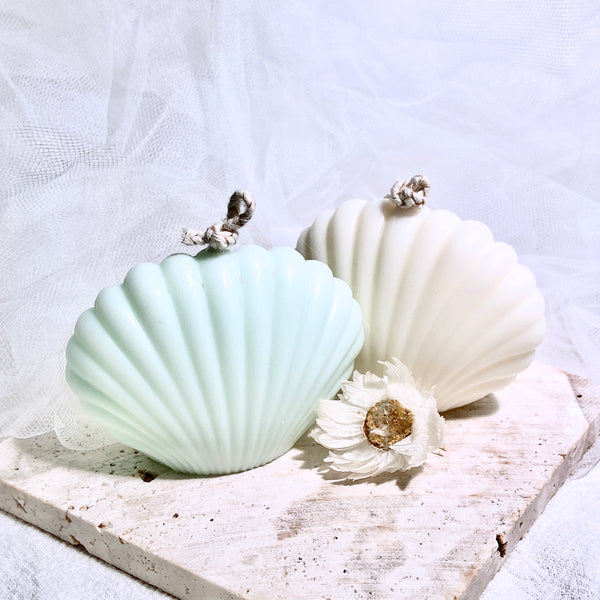 Mini Sea Shell