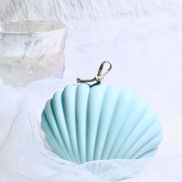 Sea Shell